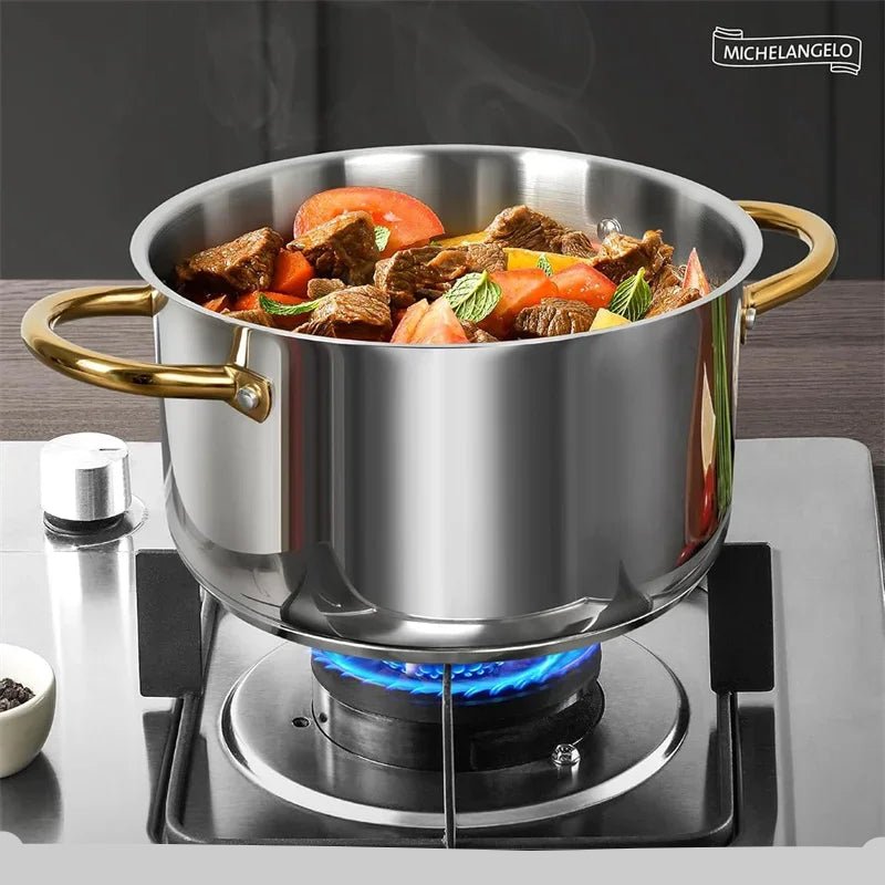 Marmite Inox MICHELANGELO Pro (Jusqu'à 9,5 L) – Tous Feux et Four – Double Poignée, Couvercle - Prati - Kitchen