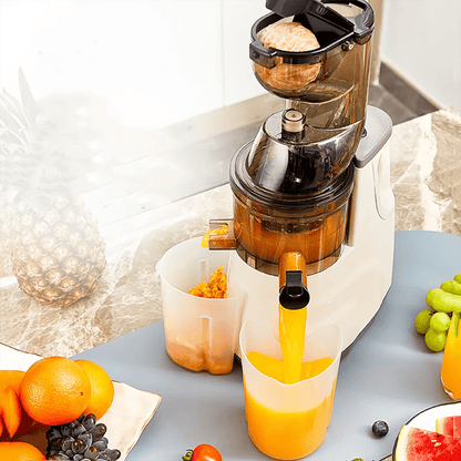 Extracteur - de - jus - de - fruits - et -légumes - avec - jus - et - pulpe