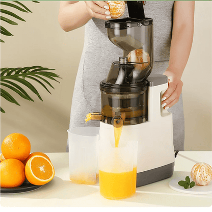 Extracteur - de - jus - de - fruits - et -légumes - extraction - de - jus