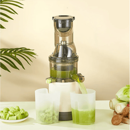 Extracteur - de - jus - de - fruits - et -légumes - extraction - de - jus - de - légumes