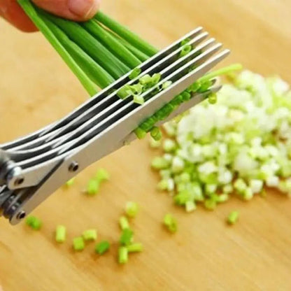 Ciseaux de Cuisine à 5 Lames en Acier Inoxydable - Prati - Kitchen