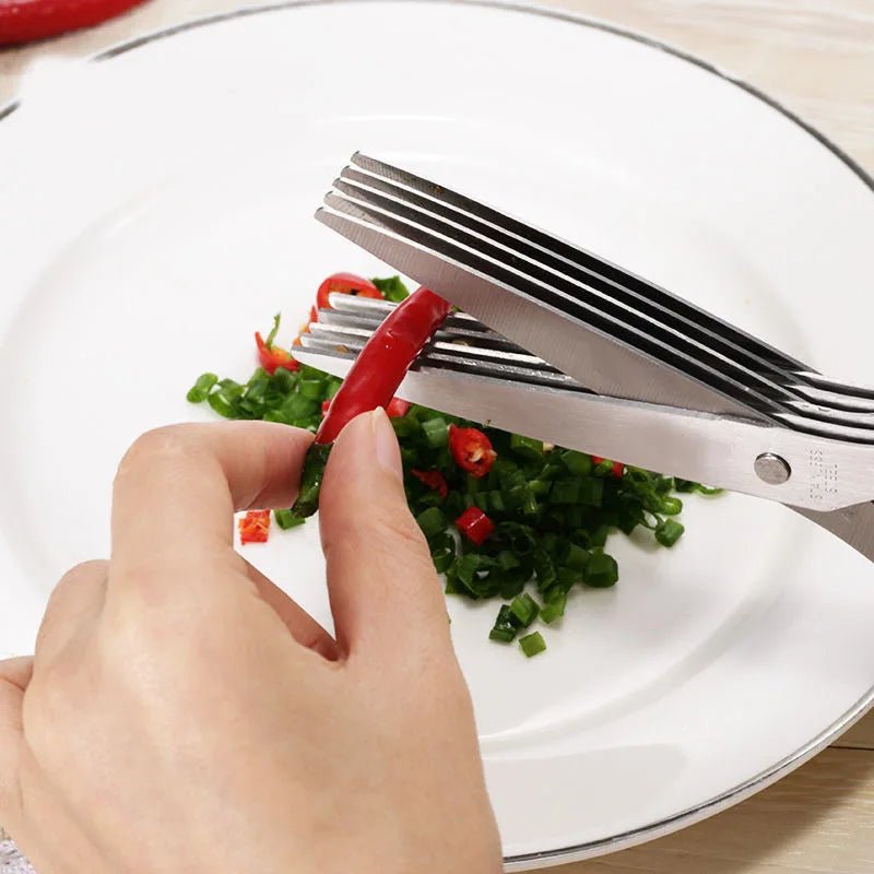 Ciseaux de Cuisine à 5 Lames en Acier Inoxydable - Prati - Kitchen