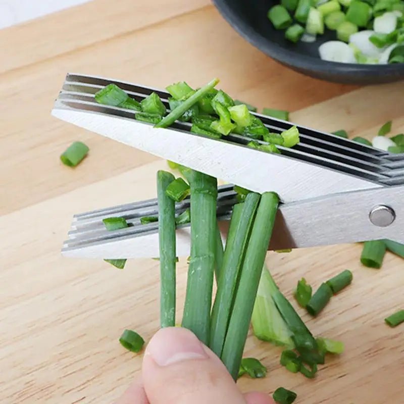 Ciseaux de Cuisine à 5 Lames en Acier Inoxydable - Prati - Kitchen