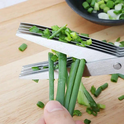 Ciseaux de Cuisine à 5 Lames en Acier Inoxydable - Prati - Kitchen