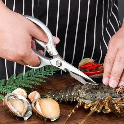 Ciseaux de Cuisine Professionnels | Cisaille à Volaille et Poissons | Lame en Acier Inoxydable Haute Résistance | Poignée Ergonomique en Alliage d'Aluminium - Prati - Kitchen