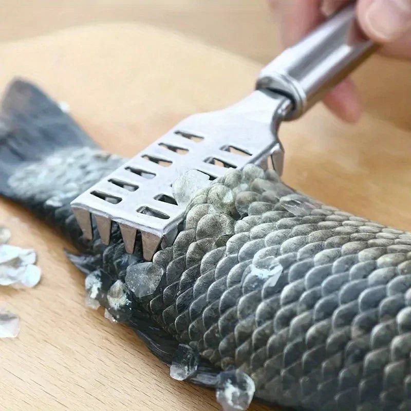écailleur de poisson - Prati - Kitchen