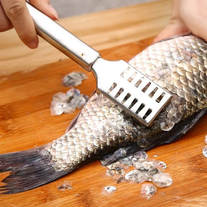 écailleur de poisson - Prati - Kitchen