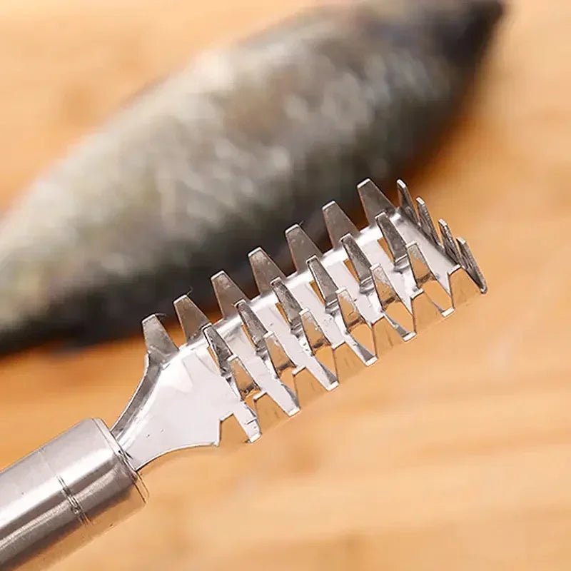 écailleur de poisson - Prati - Kitchen