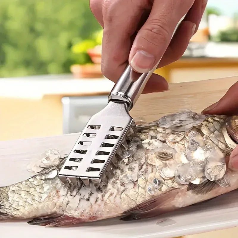 écailleur de poisson - Prati - Kitchen