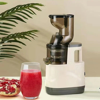 Extracteur de jus de fruits et légumes - Prati - Kitchen
